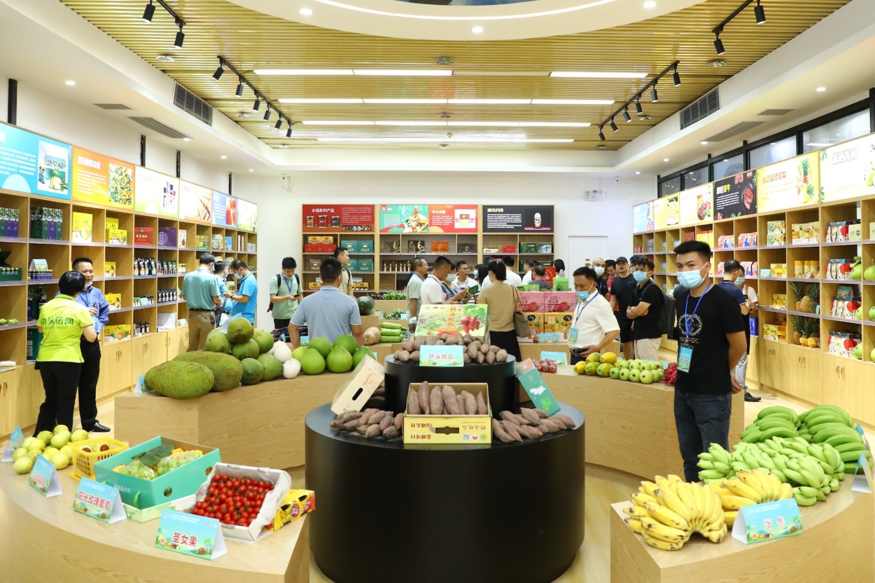 海南3個(gè)市縣特色農(nóng)產(chǎn)品走進(jìn)粵港澳大灣區(qū) 簽約訂單超1.3億元