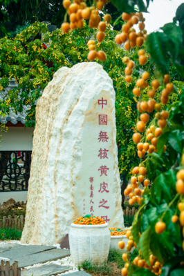 云浮市郁南縣委書(shū)記梁世軍:做強(qiáng)優(yōu)勢(shì)做精特色,闖出特色農(nóng)業(yè)大縣鄉(xiāng)村振興新路