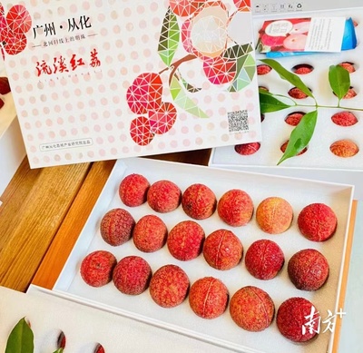 遇見(jiàn)廣州 | 日啖荔枝&ldquo;三百種&rdquo;,吃一顆荔枝品一段故事