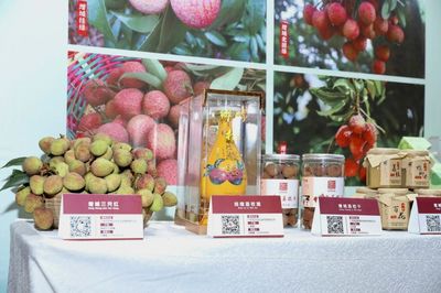 廣州荔枝采摘上市,今年將有巨美人、無(wú)核、嶺豐糯等新品種