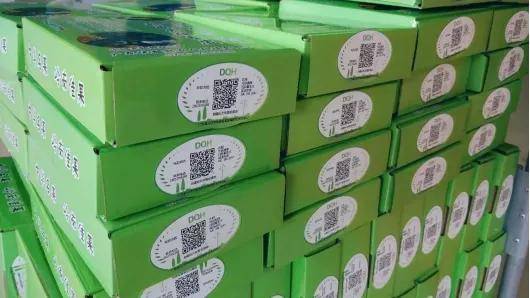 黃皮托起億元村,便民村用一村一品賦能鄉(xiāng)村振興