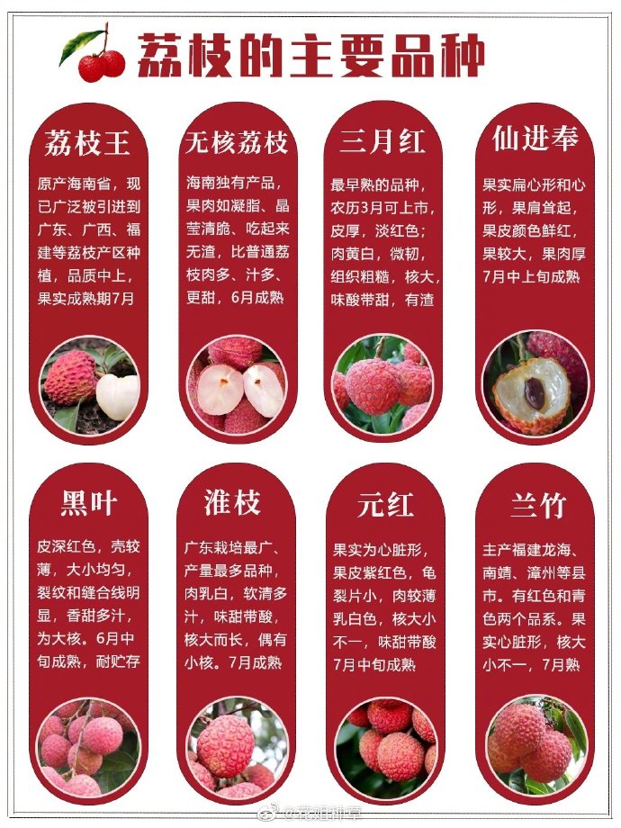 #廣州超55萬(wàn)畝荔枝熟了#