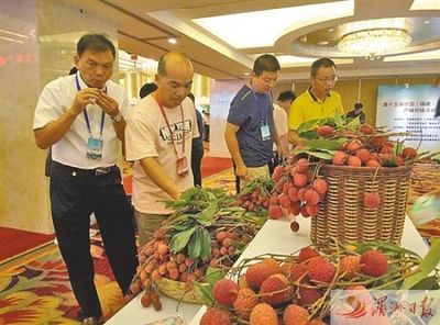 正是荔枝龍眼飄香時(shí) 中國(guó)(福建)荔枝龍眼產(chǎn)銷對(duì)接會(huì)在莆舉行