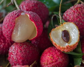 安心直采增城仙進奉荔枝 品味無核香甜的盛夏佳果