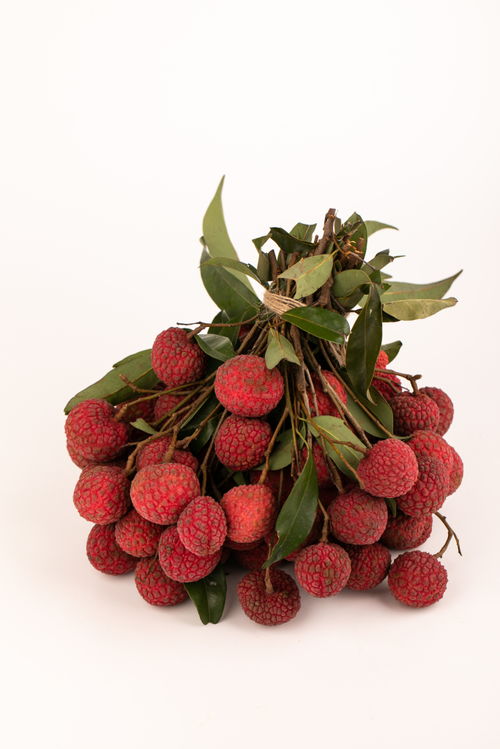 無核荔枝 夏日果盤中的璀璨明珠