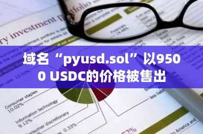 域名pyusd.sol以9500 USDC價格售出，凸顯數據處理與存儲服務領域增長潛力