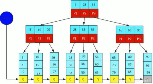數據庫高級特性 索引、視圖、存儲函數及數據處理服務
